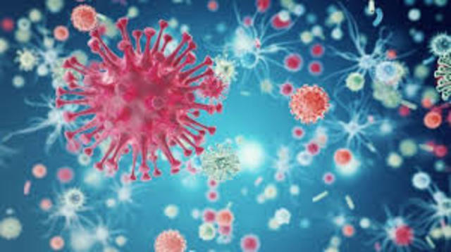 HIV the virus that causes AIDS is identified