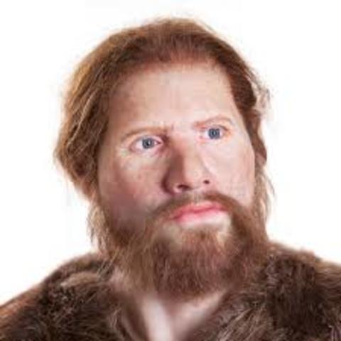 Homo sapiens sapiens