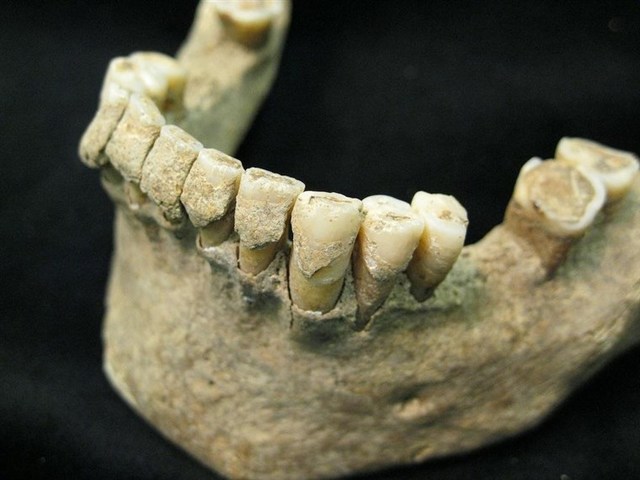 Romans Dentistry