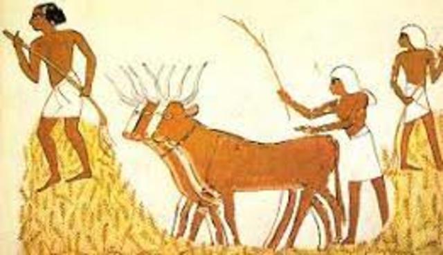 Utensilios de arcilla. Agricultura. Domesticación de animales. Uso del cobre