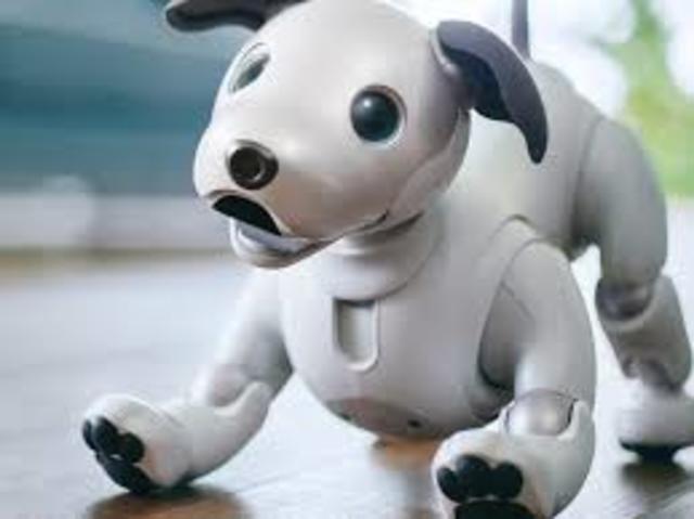perro robot