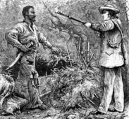 Many Slave Rebellions