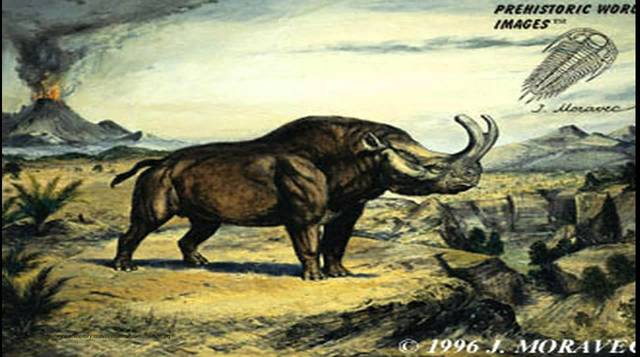 Oligocene