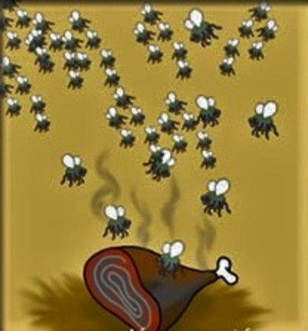 Generación espontánea