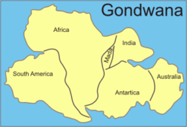 Gondwana