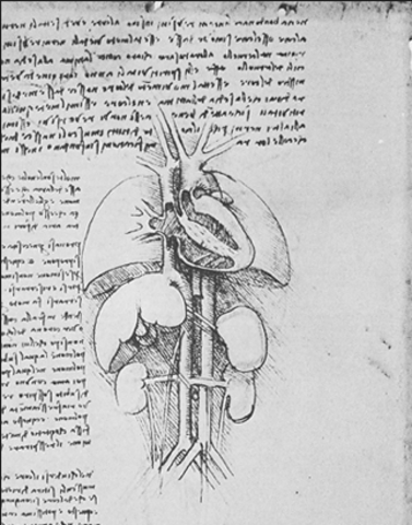 The observations of Galen - Roman