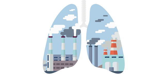 Resolución 601 de 2006