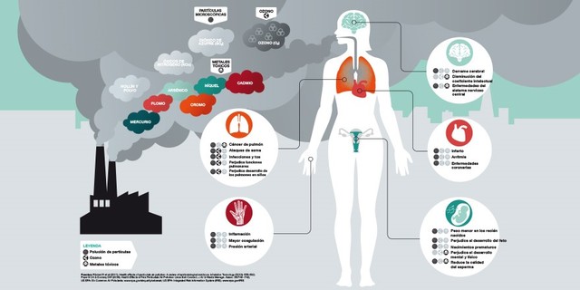 Resolución 619 de 1997