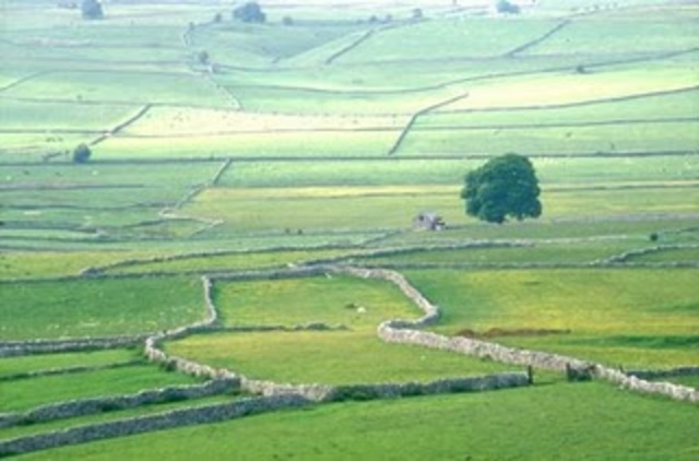 Land Enclosure accelerates