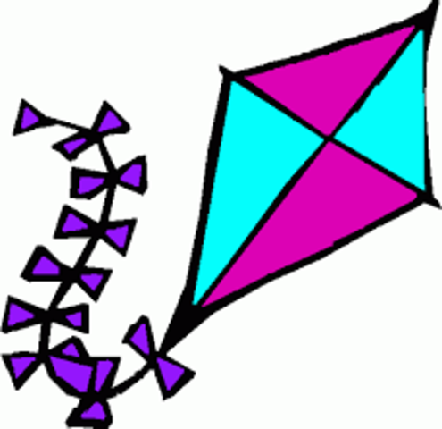 Amir and Hassan win the kite flying contest