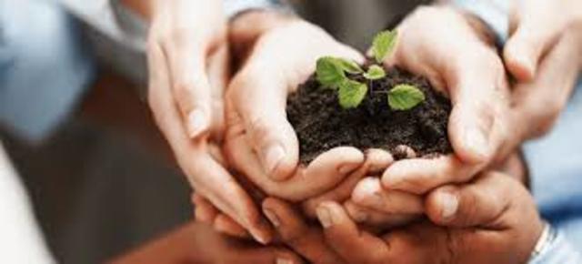 Watson's organization