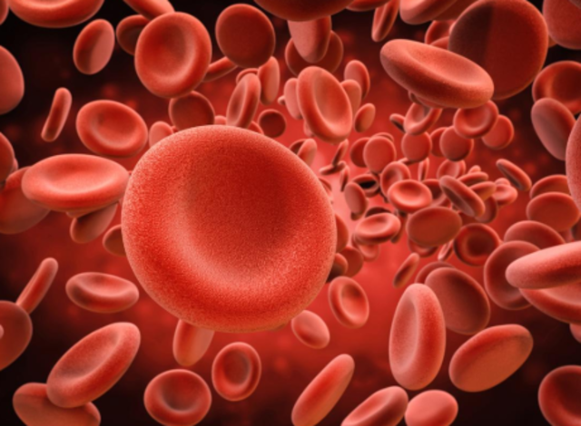 Anton van Leeuwenhoek