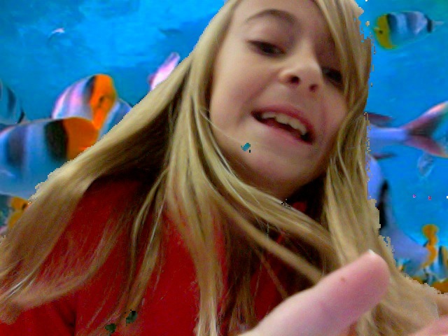 when a shark attacked me