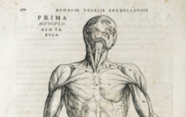 Andreas Vesalius