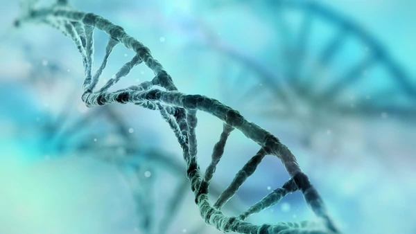 Es proposa l'estructura en doble hèlix de l'ADN.