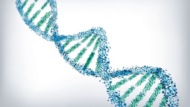 Es desxifra el codi genètic complet de l'ADN.