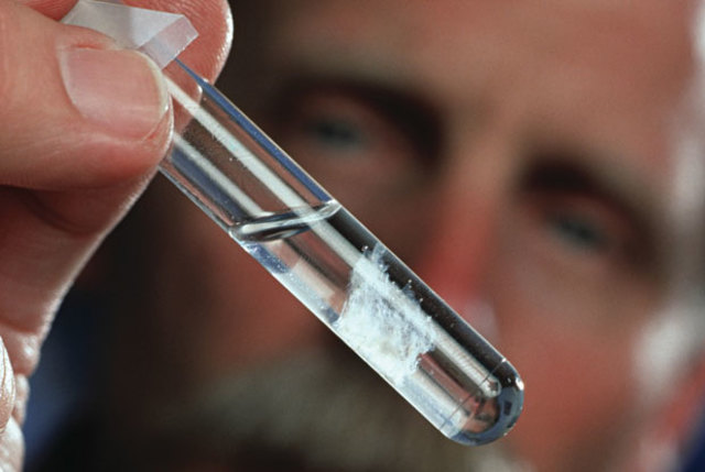 Tenen lloc els primers experiments d'enginyeria genètica en els quals gens d'una espècie s'introdueixen en organismes d'una altra espècie i funcionen correctament.