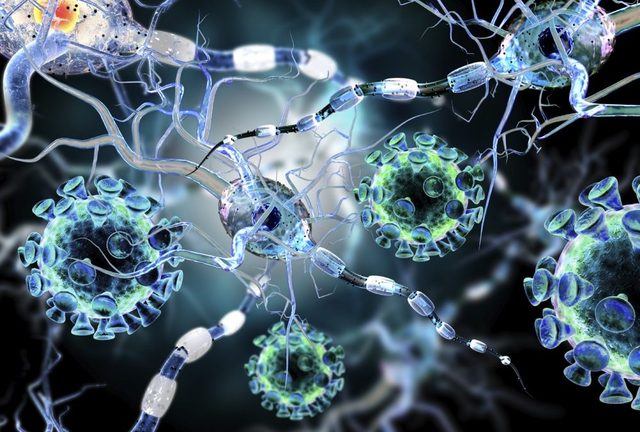 Mitjançant tècniques d'enginyeria genètica es fabrica amb èxit una hormona humana en un bacteri.