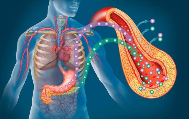 Es clona el gen de la insulina humana.