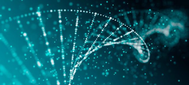 S'inventa la tècnica PCR, que permet replicar (copiar) gens específics amb gran rapidesa.