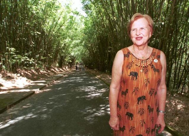 Maternal and Child Coordinator of the Ministry of Health.