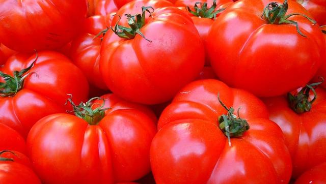 Es comercialitza a Califòrnia el primer vegetal modificat genèticament (un tomàquet) i s'autoritza a Holanda la reproducció del primer toro transgènic.