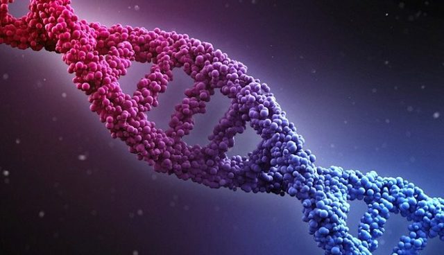 Projecte Genoma Humà publica la primera seqüenciació completa del genoma amb un 99.99% de fidelitat.