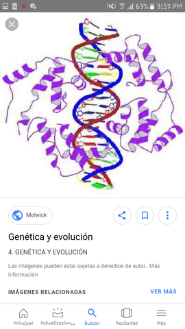 Evolución de la genética humana