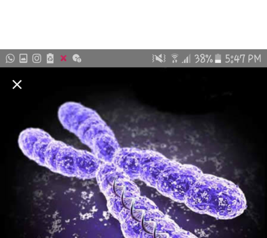 Como funciona la genetica