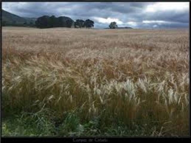 Agricultura y ganadería