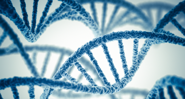 Human Genome Project