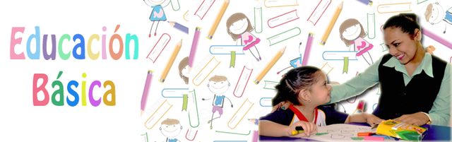 Preparación de un plan para enfrentar la problemática de la educación básica del país