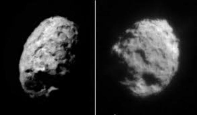 First  Sample Return from Comet 81P/Wild