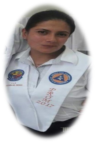 Grado Técnica en Gestión del riesgo