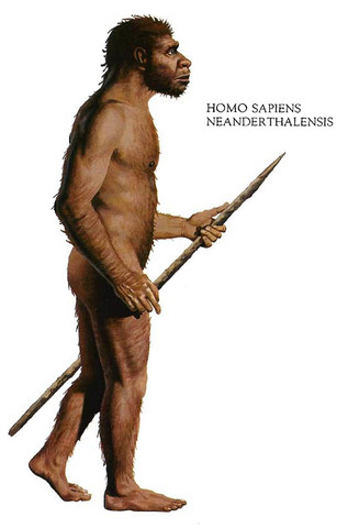 homo sapiens neanderthalensis