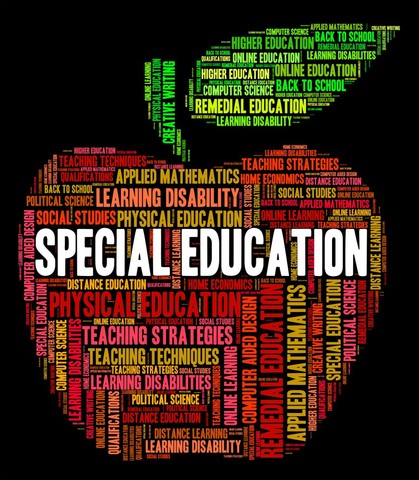 Disability Suspected