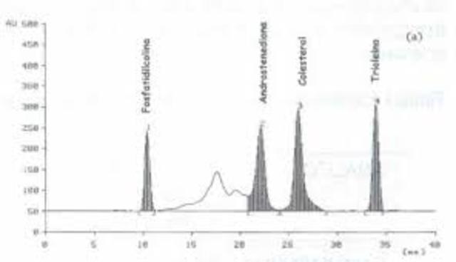 cromatografió  la yema huevo