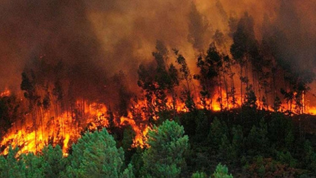 PORCENTAJES DE EMISIONES DE CO2 Y METANO EN EL AÑO 1990