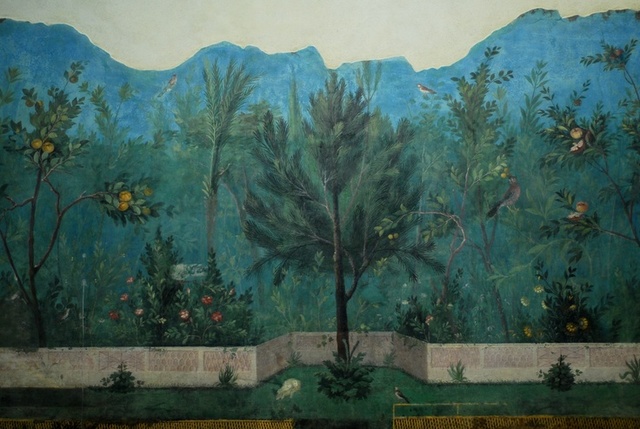 Fresco wall from house of Livia
