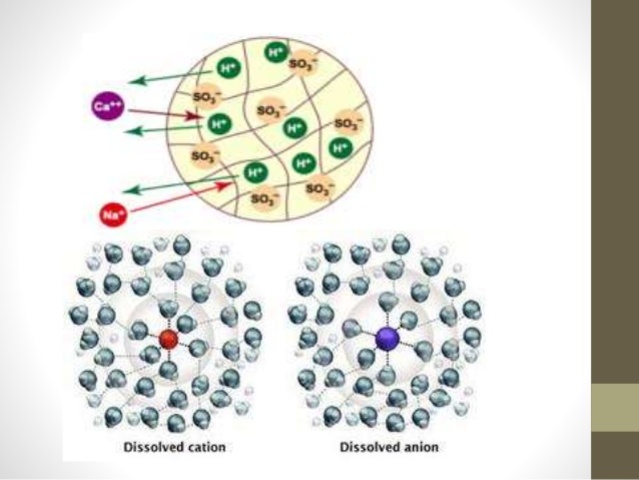 Way y Thompson, Reconocieron el fenómeno de intercambio iónico en sólidos.