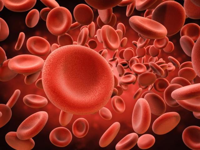 Blood Cells Discovered