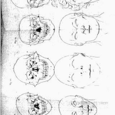 Dibujo, Pieter Camper, The Works of the Late Professor Camper, on the Connexión between the Science of Anatomy and the Arts of Drawing, Paintin, Satuary