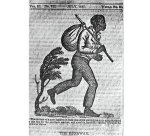 250,000 Slaves were freed from slavery.