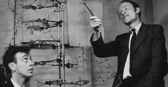 Fransis Crick and James Watson