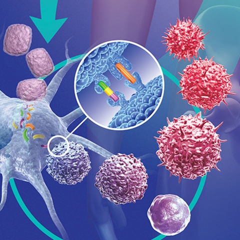 Cancer therapies expand with new drugs