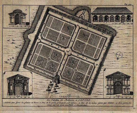 Physics Garden founded by the 1st Earl of Danby