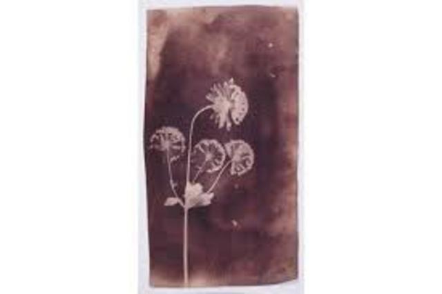 William Henry Fox Talbot