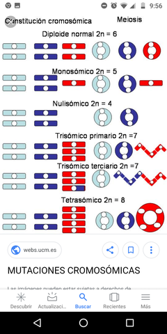 MUTACION CROMOSOMICA