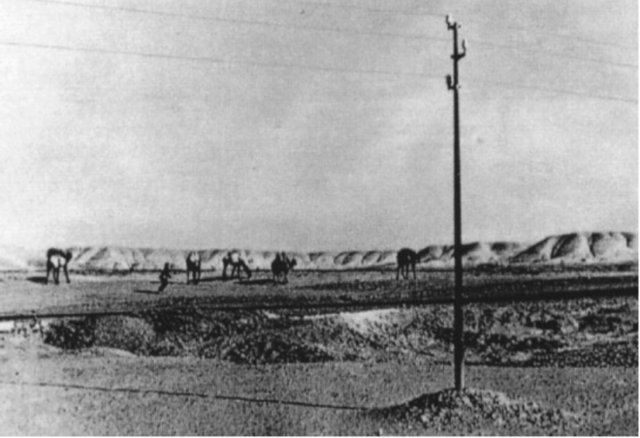 PRIMERA LINEA DE TELEGRAFÍA