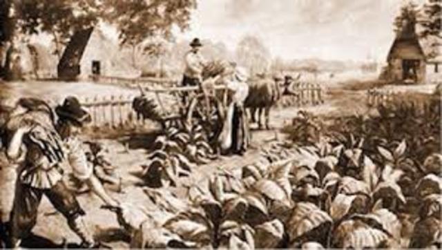 Indentured Servitude